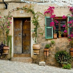 Meet your Posher, Afra